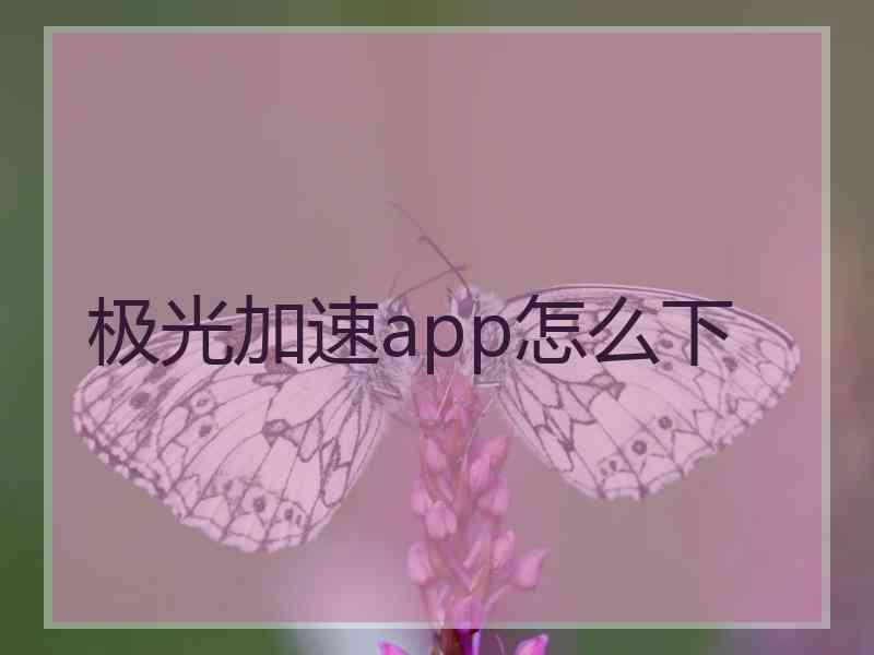 极光加速app怎么下