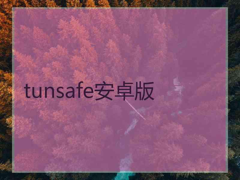 tunsafe安卓版