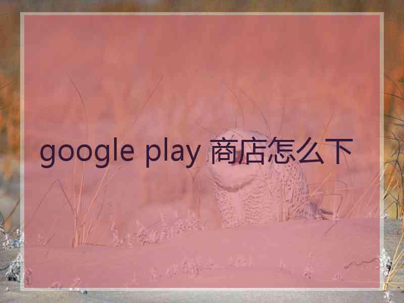 google play 商店怎么下