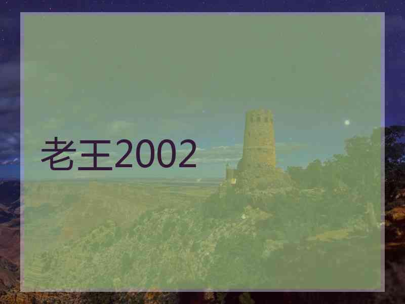 老王2002