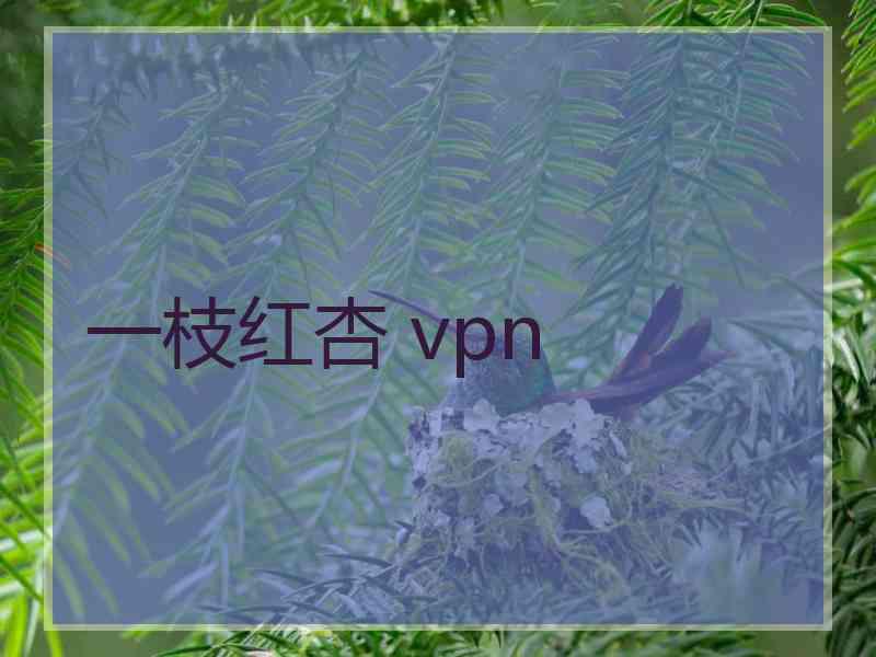 一枝红杏 vpn