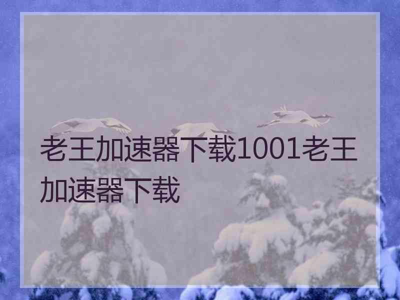 老王加速器下载1001老王加速器下载