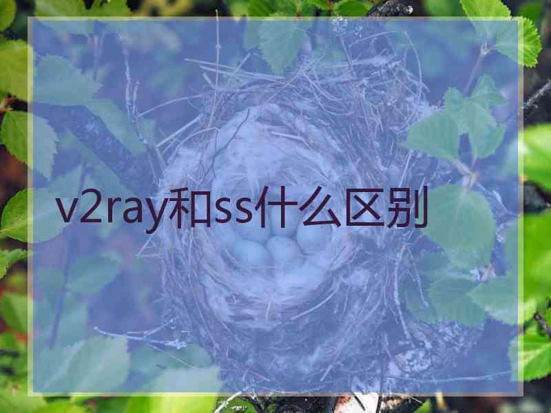 v2ray和ss什么区别