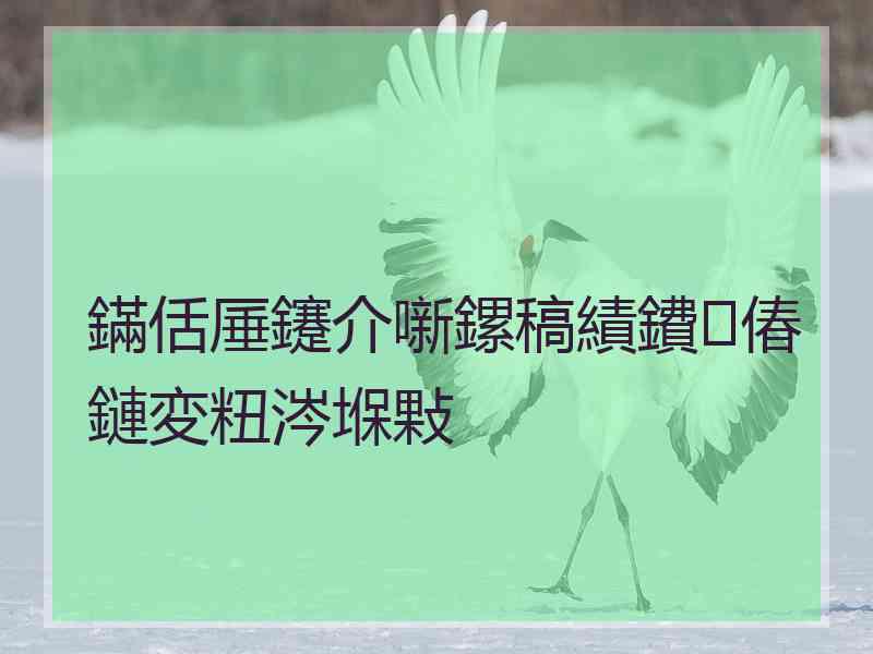 鏋佸厜鑳介噺鏍稿績鐨偆鏈変粈涔堢敤