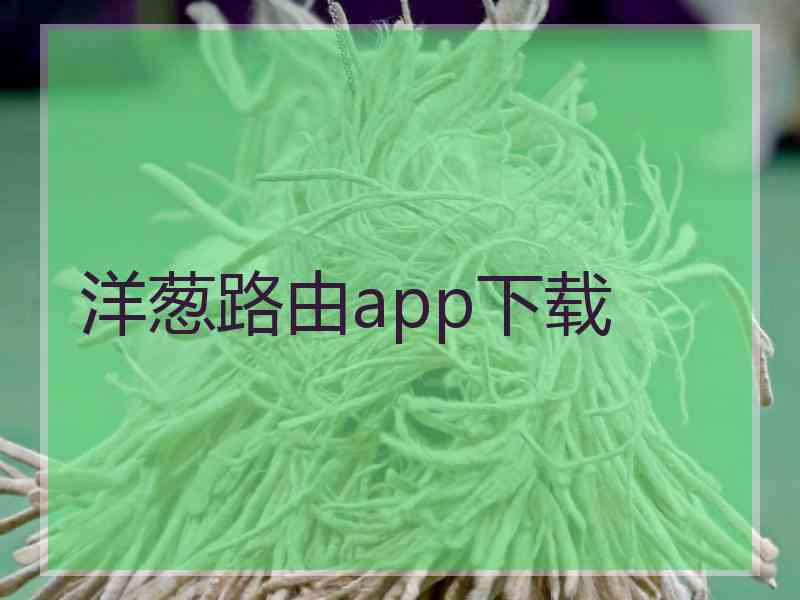 洋葱路由app下载