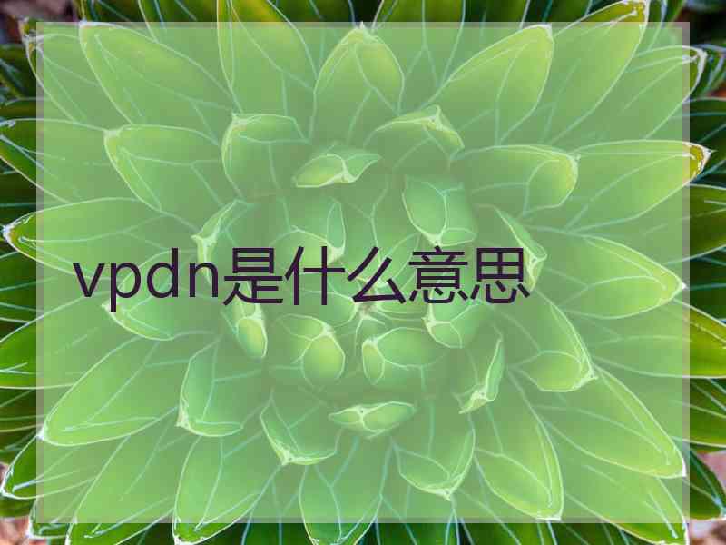 vpdn是什么意思