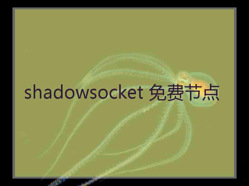 shadowsocket 免费节点