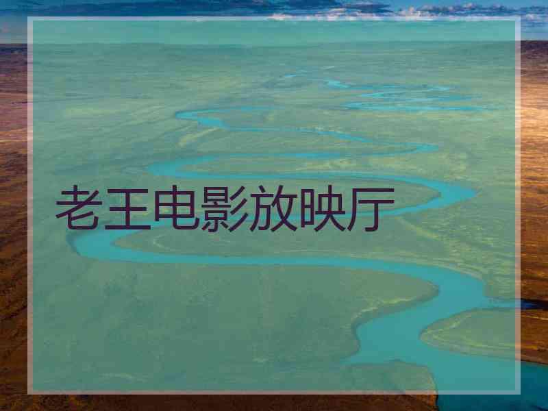 老王电影放映厅