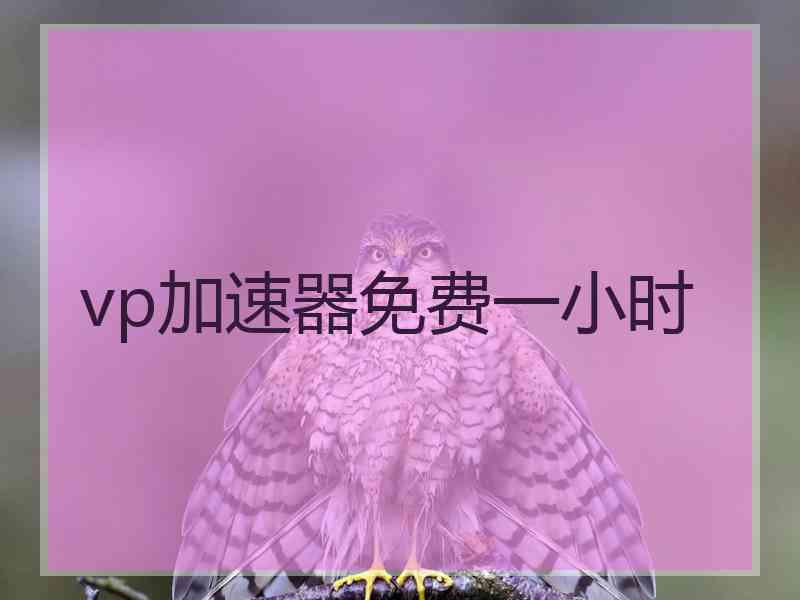 vp加速器免费一小时