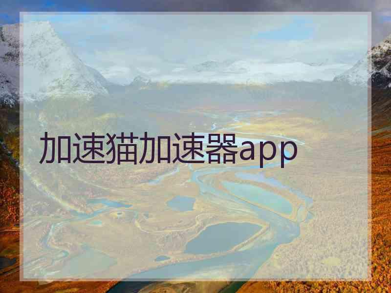 加速猫加速器app