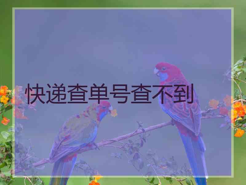 快递查单号查不到 快递查单号查不到