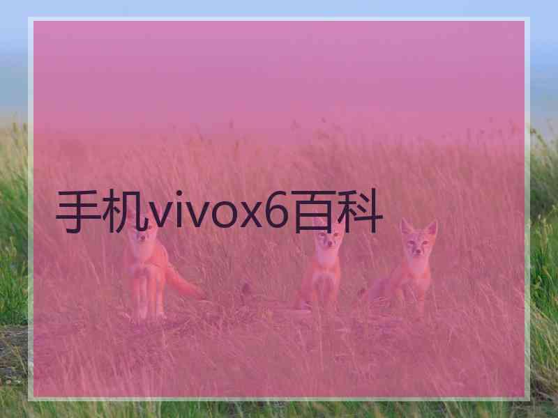 手机vivox6百科