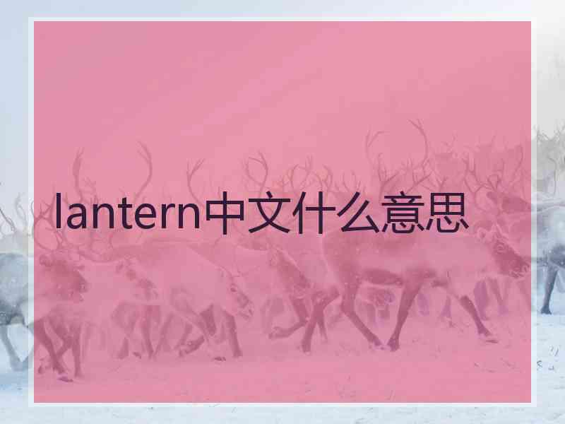 lantern中文什么意思