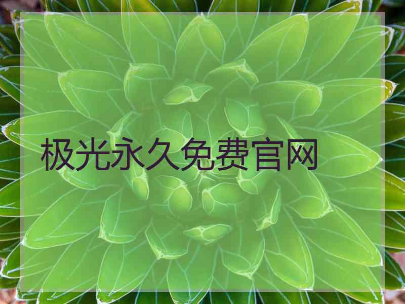 极光永久免费官网