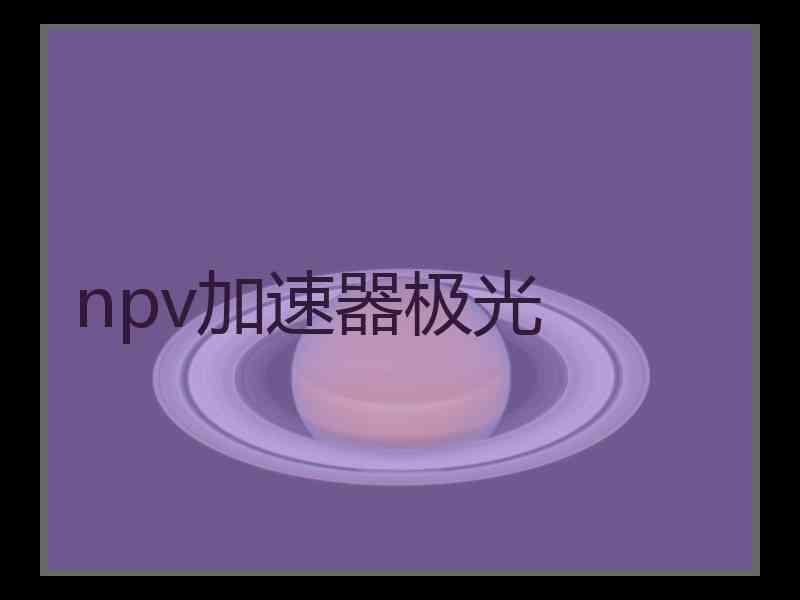 npv加速器极光