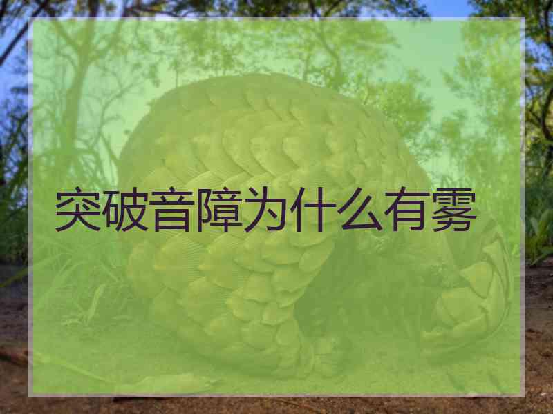 突破音障为什么有雾