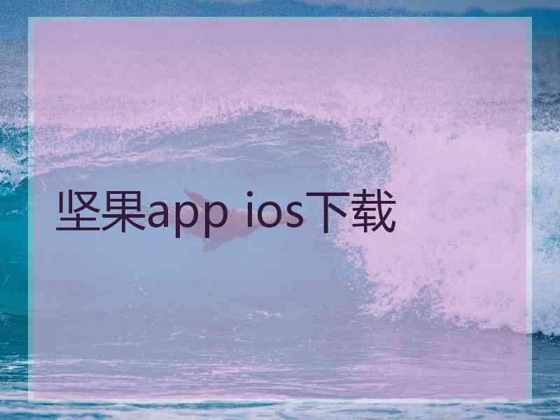 坚果app ios下载