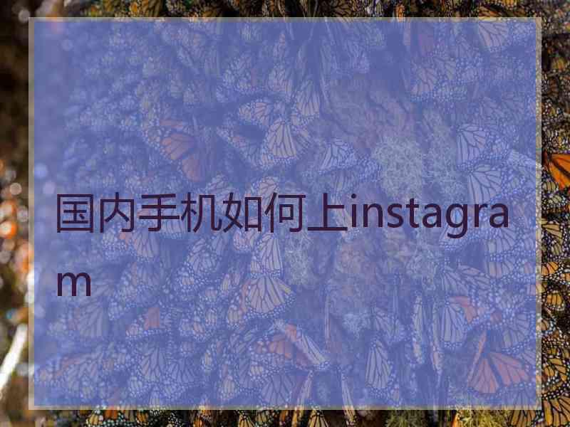 国内手机如何上instagram