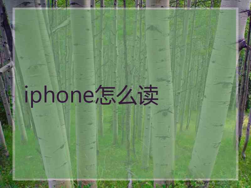 iphone怎么读