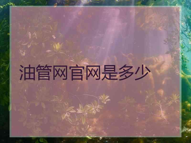 油管网官网是多少