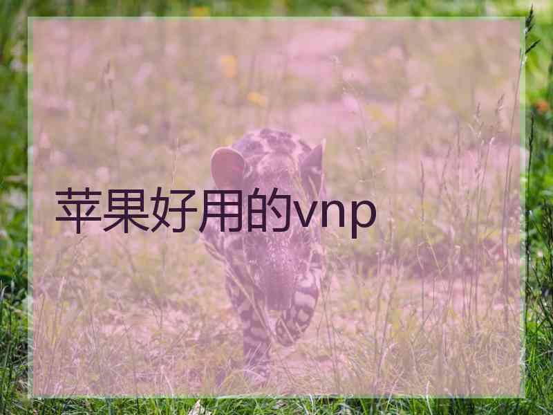 苹果好用的vnp