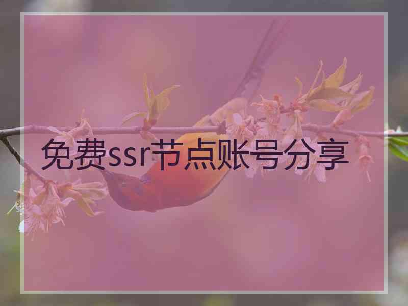 免费ssr节点账号分享