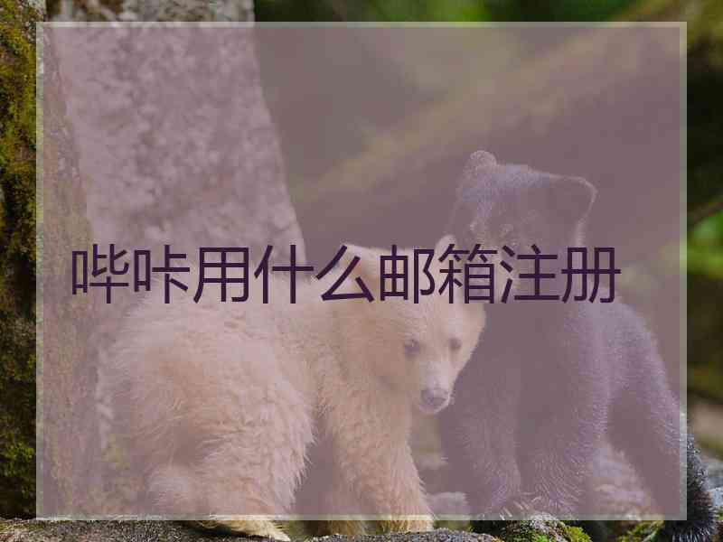 哔咔用什么邮箱注册 哔咔用什么邮箱注册