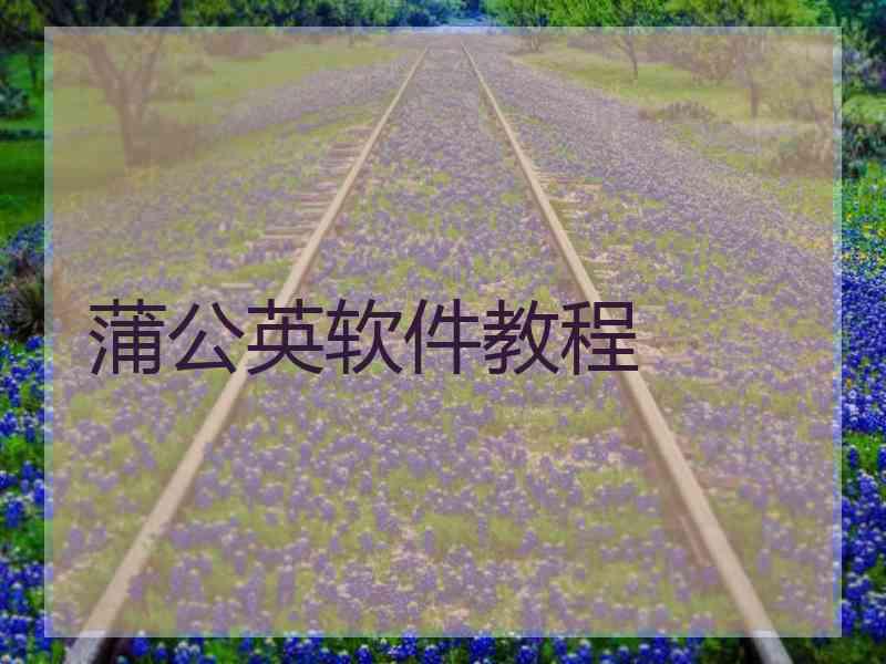 蒲公英软件教程