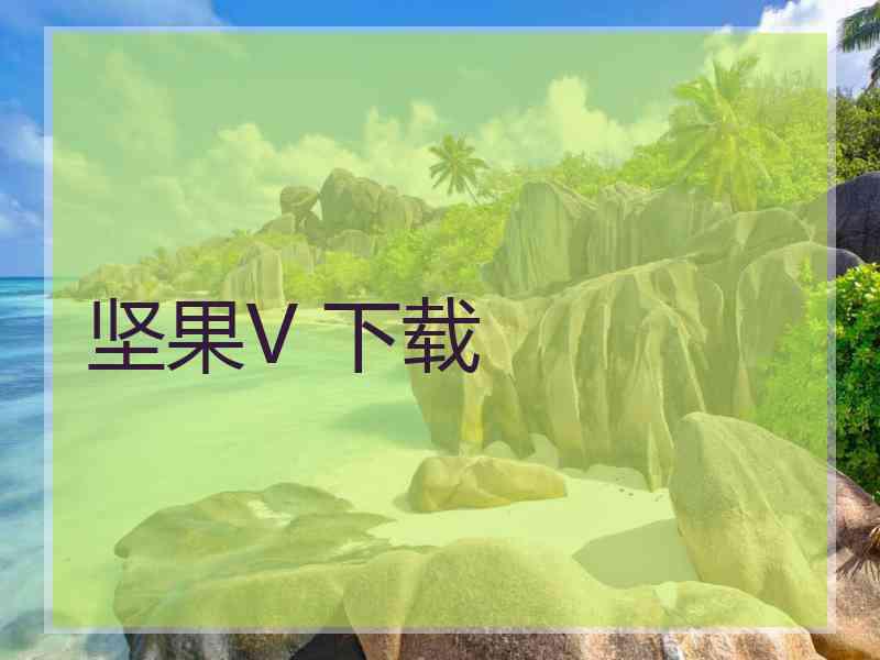 坚果V 下载