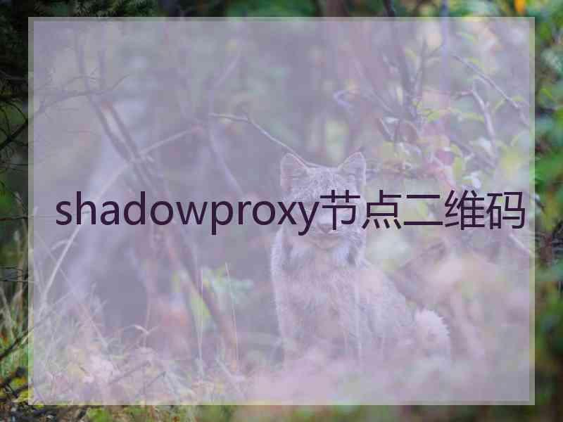 shadowproxy节点二维码