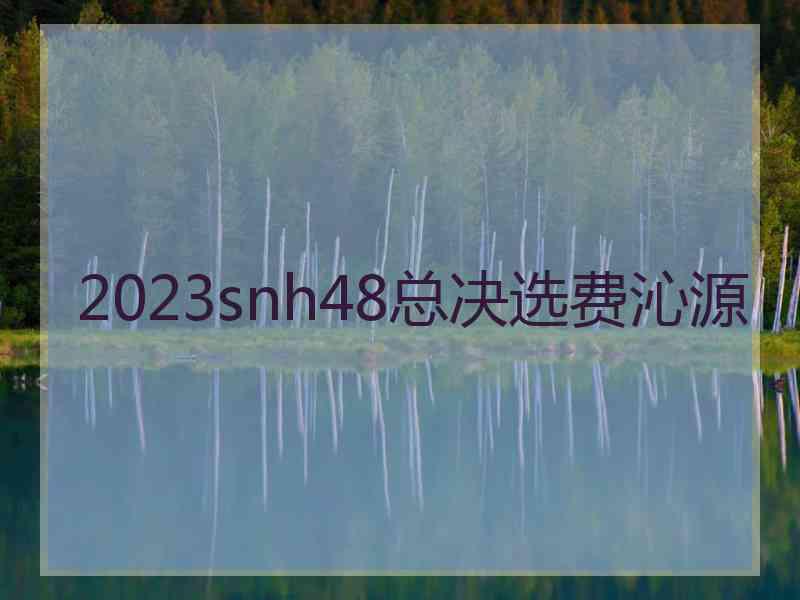 2023snh48总决选费沁源