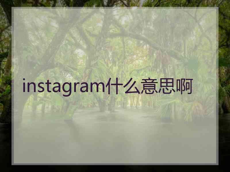 instagram什么意思啊