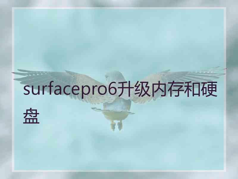 surfacepro6升级内存和硬盘