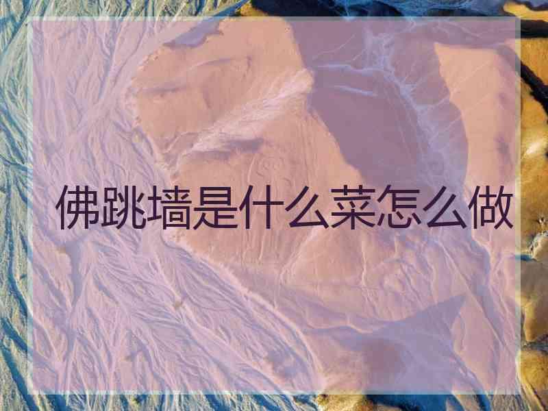 佛跳墙是什么菜怎么做