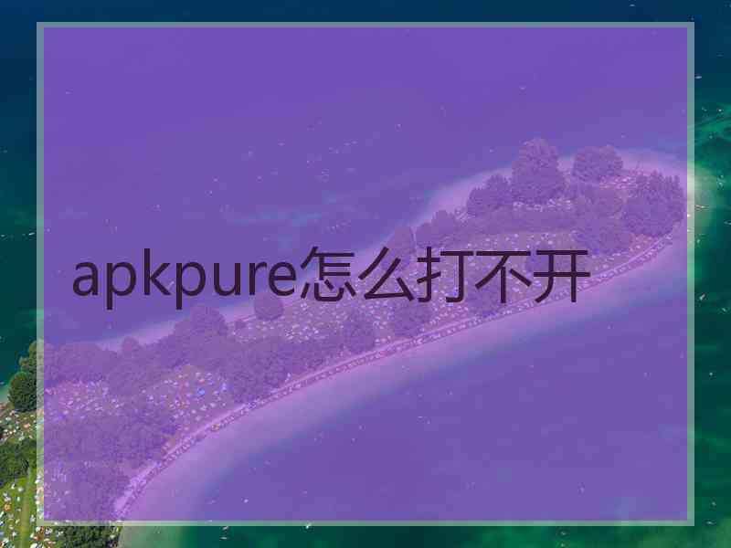 apkpure怎么打不开