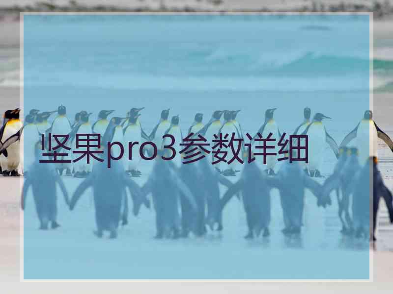 坚果pro3参数详细