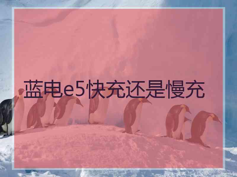 蓝电e5快充还是慢充