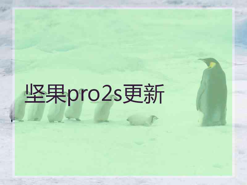 坚果pro2s更新