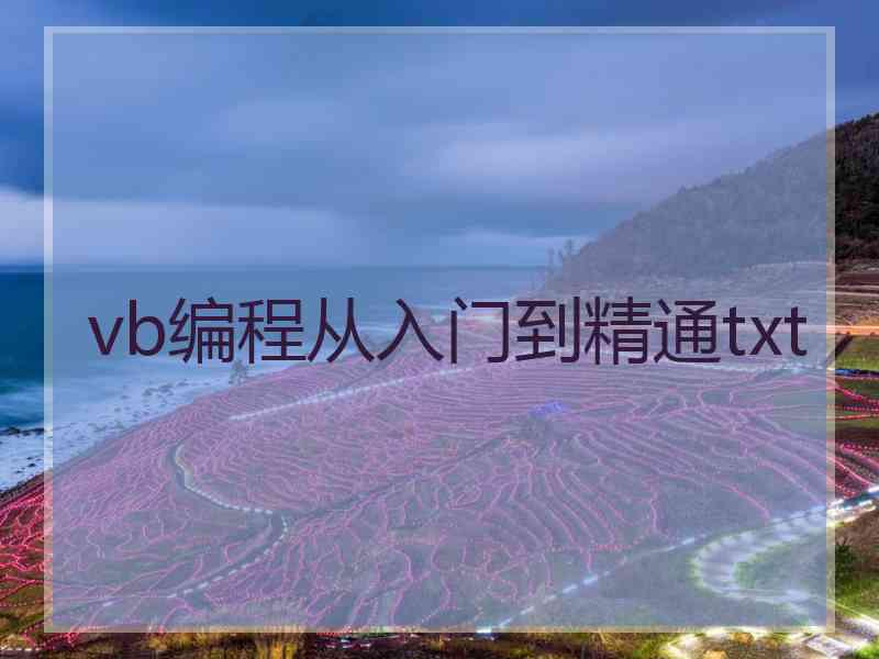 vb编程从入门到精通txt