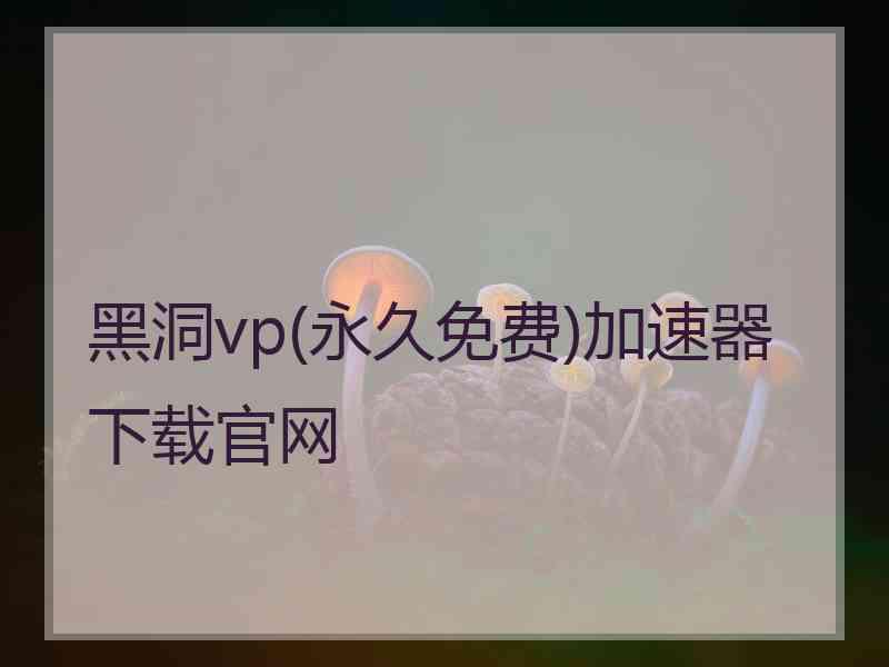 黑洞vp(永久免费)加速器下载官网