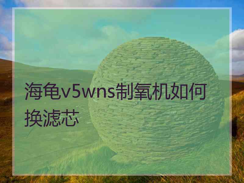 海龟v5wns制氧机如何换滤芯