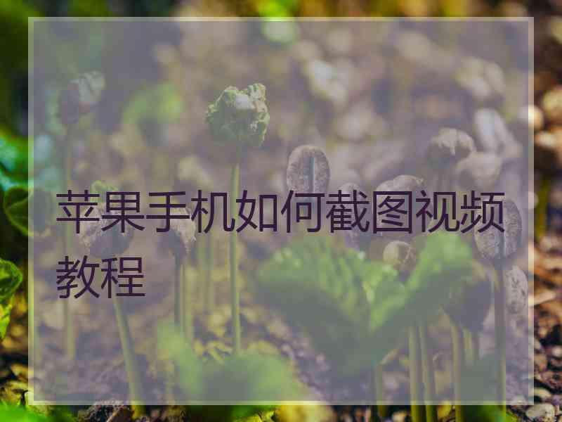 苹果手机如何截图视频教程