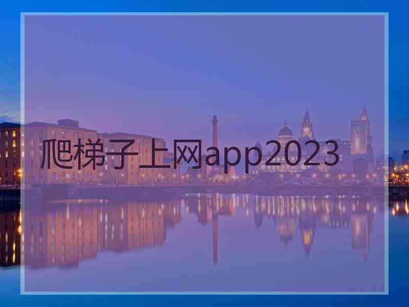 爬梯子上网app2023