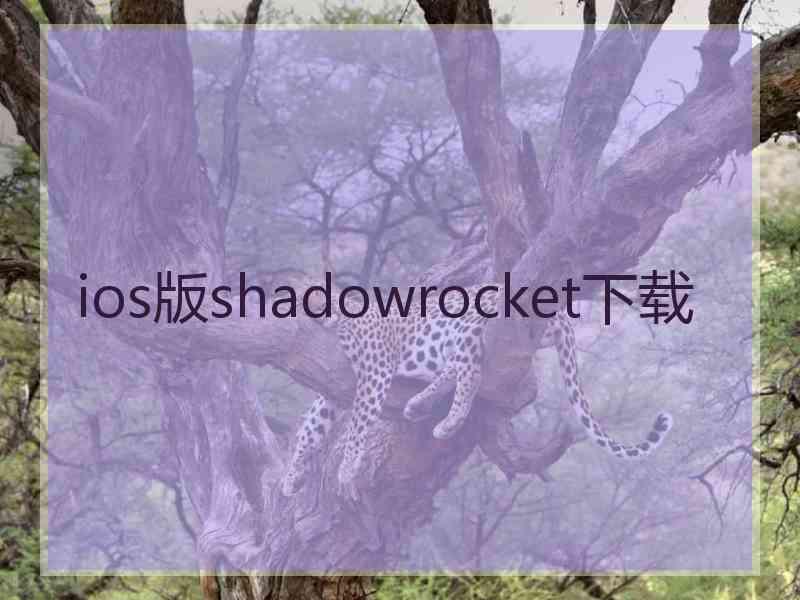 ios版shadowrocket下载