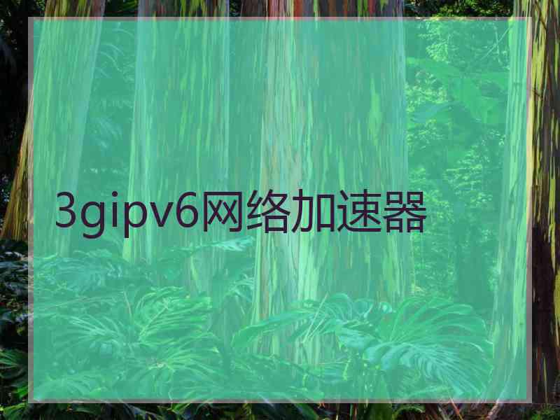 3gipv6网络加速器