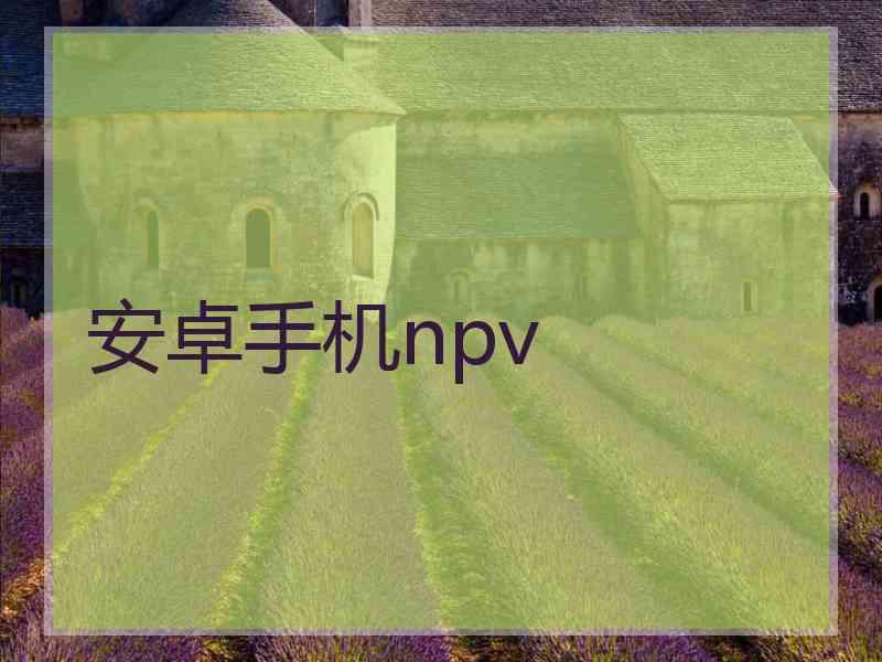 安卓手机npv