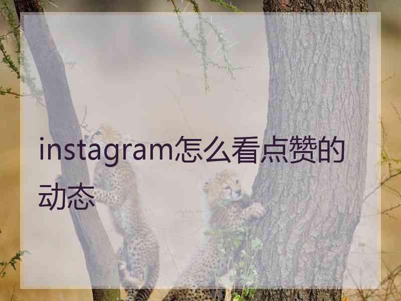 instagram怎么看点赞的动态