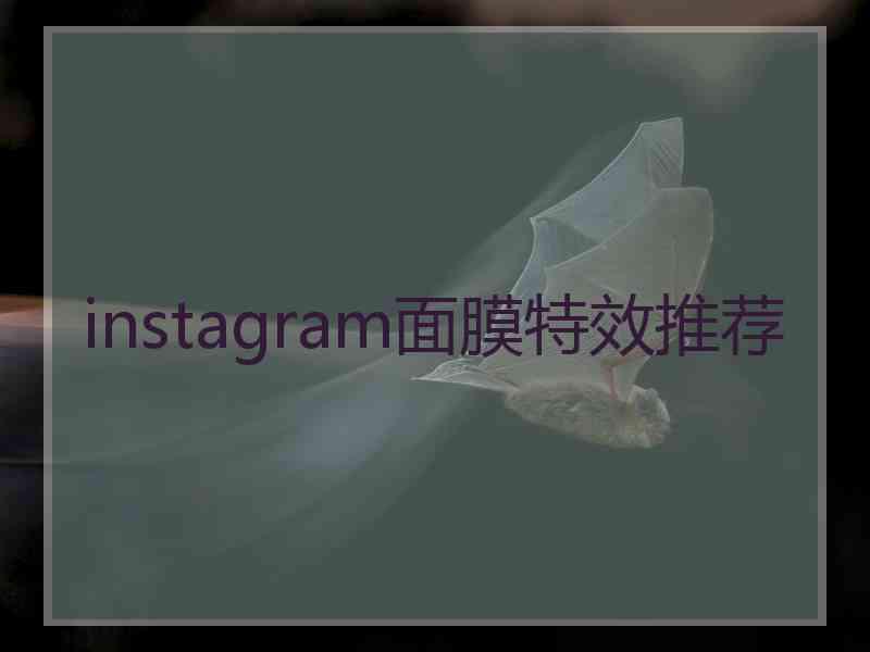 instagram面膜特效推荐